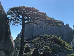 -黄山风景区