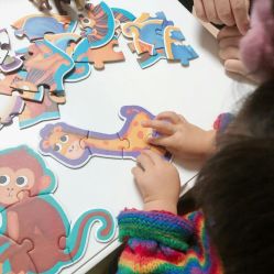 -聪明玩具奥迪双钻专卖店(岐山中路店)