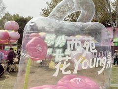 -西苑公园
