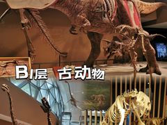 -上海自然博物馆