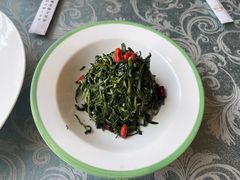 清香枸杞苗-国强手抓(北京西路店)