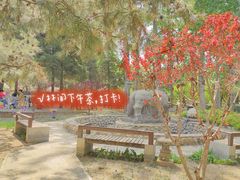 -南宫五洲植物乐园