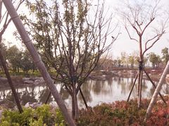 -春花秋色城市公园