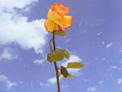 -星巴克臻选(成都宽窄巷子店)