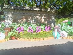 -上海醉白池公园