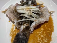 清蒸东星斑-利苑酒家(华熙国际店)