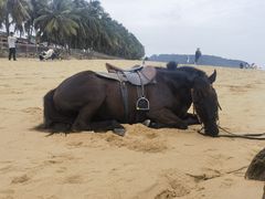 -日月湾海门游览区