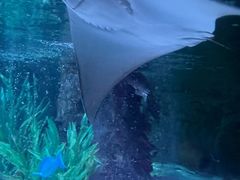 -沈阳海洋探索中心