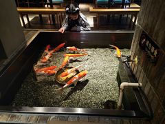 -0776食堂·京城创意菜(七里庄店)