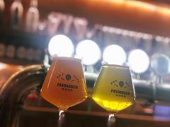 -熊猫精酿啤酒厨房(1912店)