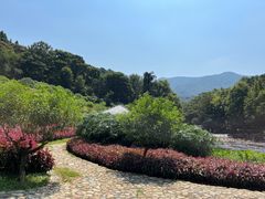 -广州市石门国家森林公园