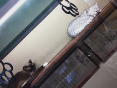 -猫咪博物馆(顶澳仔猫街店)