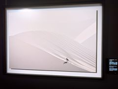 -罗红摄影艺术馆