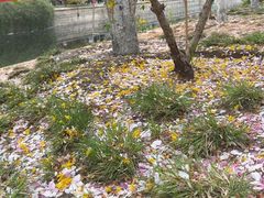 -元大都城垣遗址公园