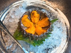 海胆刺身-Mr·Fish鱼鲜生海鲜放题(银泰in99店)