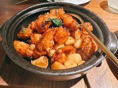 九层塔砂锅鸡-CHIC1699远洋私厨