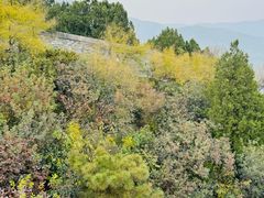 -香山公园