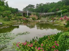 -东莞植物园
