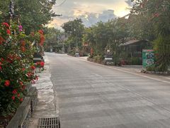 -西双版纳傣族园