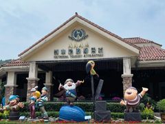 -重庆海昌加勒比海水世界
