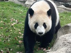 -武汉动物园