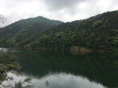 -广州市石门国家森林公园
