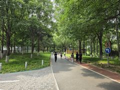 -望湖公园