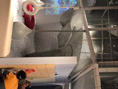 -NOKNOK若蔻亲子餐厅(天地壹方北馆店)