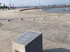 -东港音乐喷泉广场