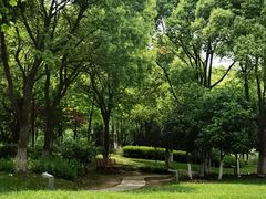 -西山漾湿地公园