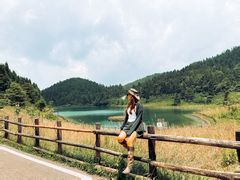 -武陵山森林公园
