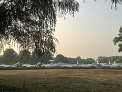 -中国航空博物馆