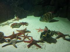 -福州罗源湾海洋世界旅游区