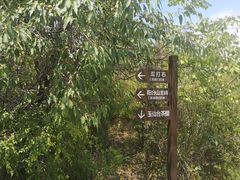 -阳台山自然风景区