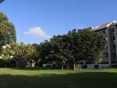 -厦门国家会计学院