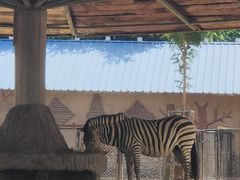 -石家庄市动物园