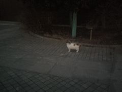 -山东大学(兴隆山校区)