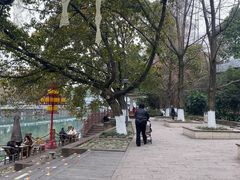 -成都市活水公园
