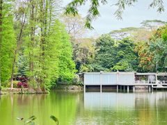-中国科学院华南植物园