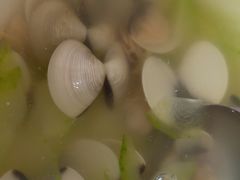 -考记泥焗鸡农庄·海鲜(北洛秘境店)