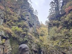 -茅兰沟国家森林公园