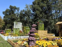 -上海共青森林公园