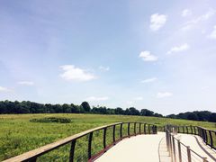 iphone_upload_pic-长木花园