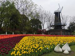 -上海鲜花港