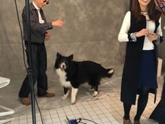 -ID.PHOTO照相馆(嘉里企业中心店)