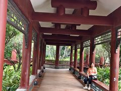 -顺峰山公园