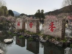 -香雪海