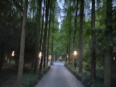 -上海怡沁园度假酒店