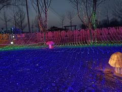 -河北村民俗体验园