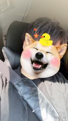 -99烫染